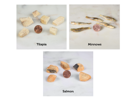 Fish Feast
