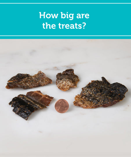 Salmon Skins