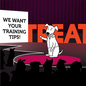 Be Part of 'TREAT Talk'