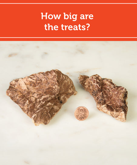 The 'Big' Treat Sampler