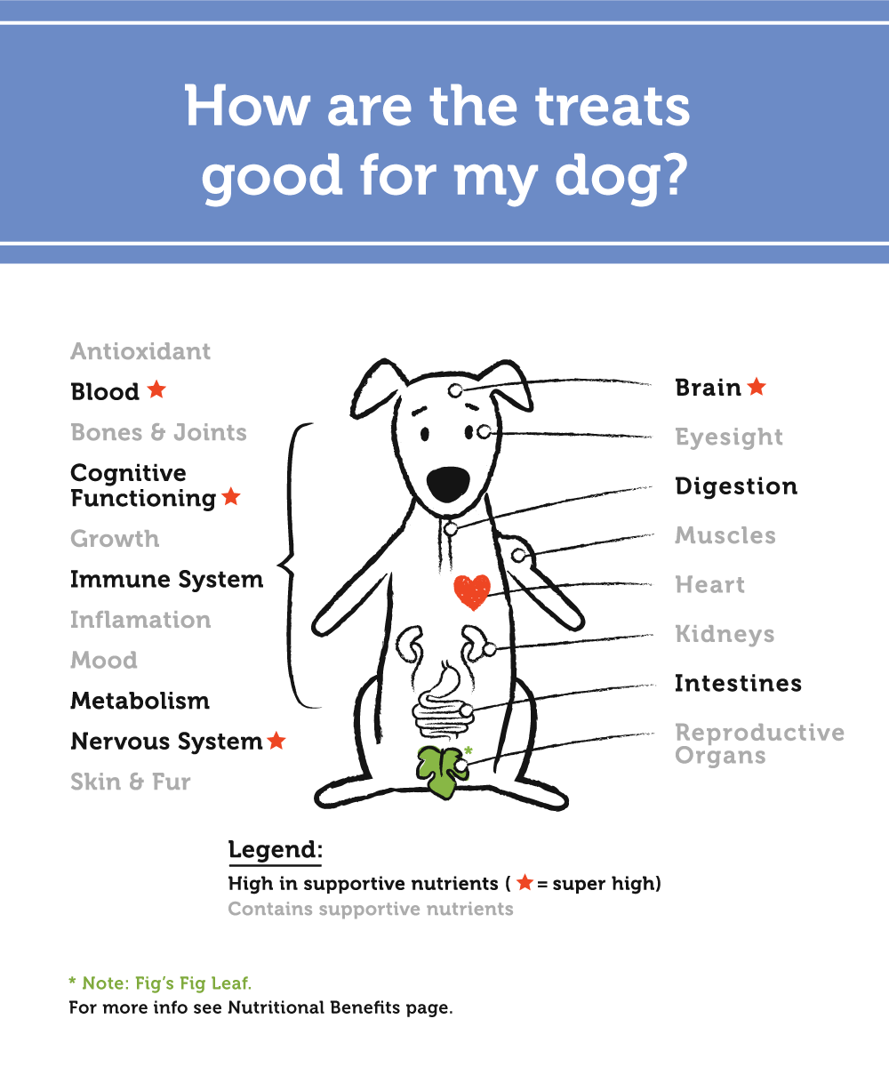 Lamb heart for clearance dogs