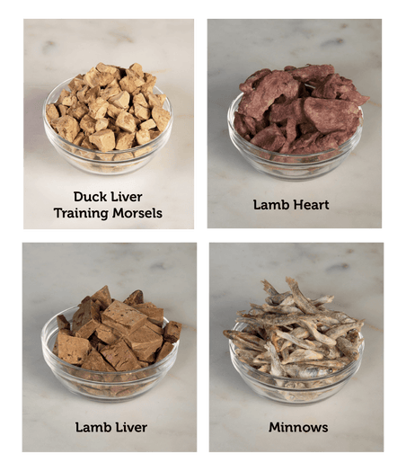 Freeze-Dried Treats Mix