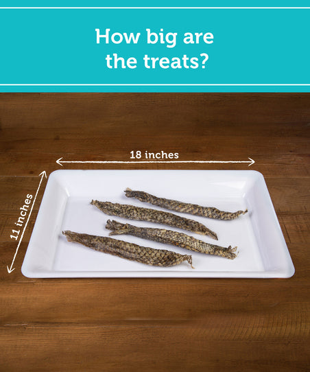 The 'Big' Treat Sampler